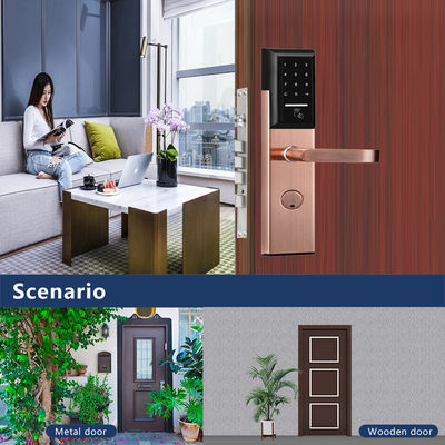 স্টেইনলেস স্টীল 6068 Mortise TTlock অ্যাপ্লিকেশন নিয়ন্ত্রিত স্মার্ট কীপ্যাড সহ দরজা লক